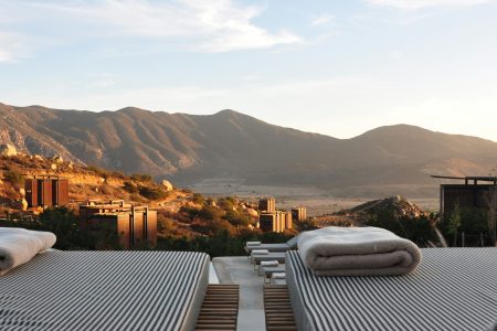 Boutique Hotels vs. Big Chains: Which One is Right for You?